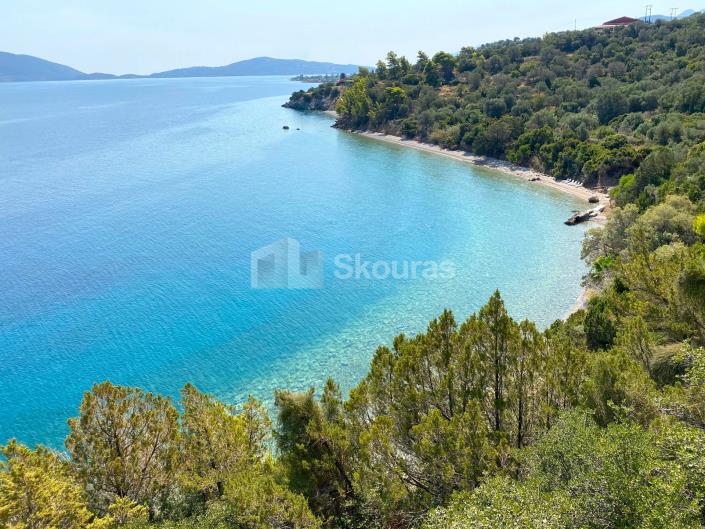 Image No.22-Maison / Villa de 16 chambres à vendre à Trizina