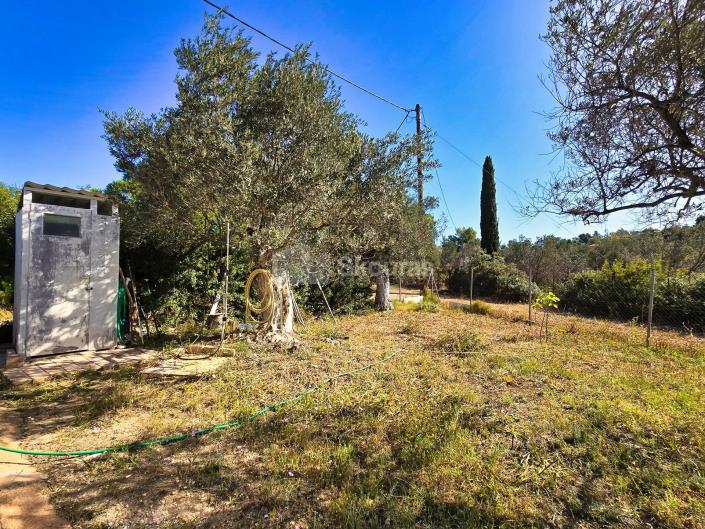 Image No.13-Maison de 1 chambre à vendre à Portocheli