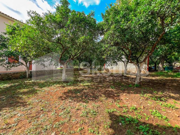 Image No.25-Maison de 3 chambres à vendre à Epidavros