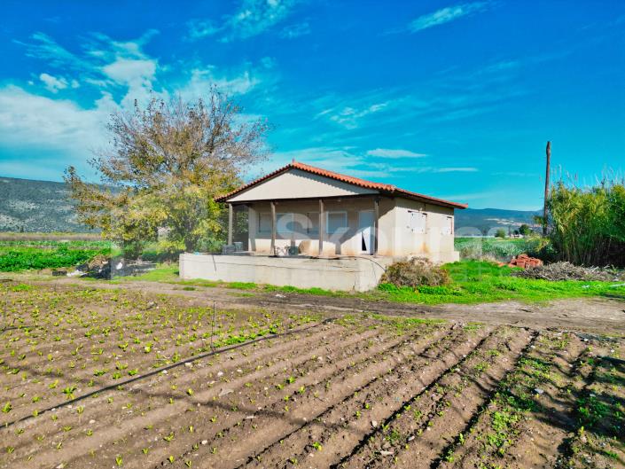 Image No.12-Maison de 2 chambres à vendre à Asini