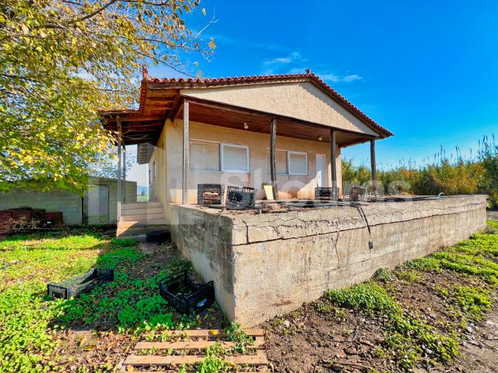 Image No.15-Maison de 2 chambres à vendre à Asini