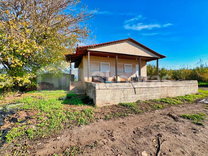 Image No.14-Maison de 2 chambres à vendre à Asini