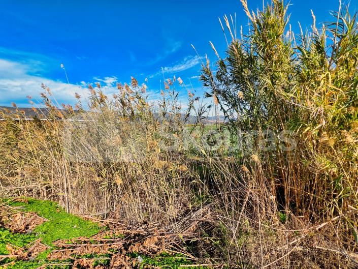 Image No.21-Maison de 2 chambres à vendre à Asini