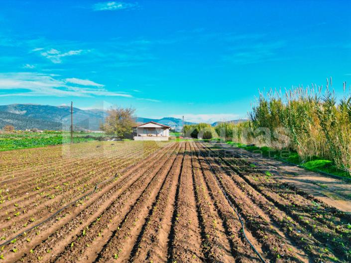 Image No.17-Maison de 2 chambres à vendre à Asini
