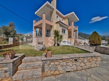 1 - Astros, House
