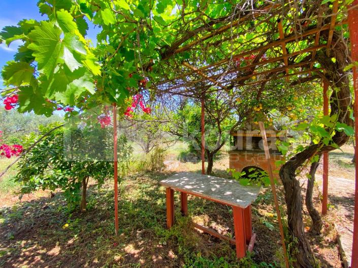 Image No.26-4 Bed House for sale