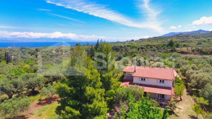 Image No.3-4 Bed House for sale