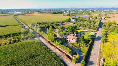 5f30947451f947a0a0955d94af909720