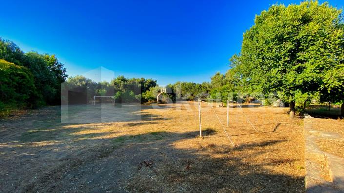 Image No.17-Maison / Villa de 3 chambres à vendre à Elis