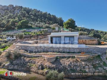 3a8070c9af25446a86c1cf9fe11d2529