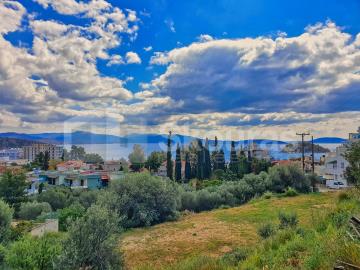 1a4e4e6b8ba946cb9db2f441711dc67d