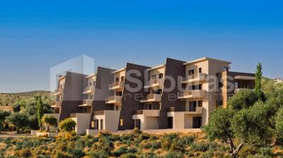 9cde6268d7894c838340155751947bd7