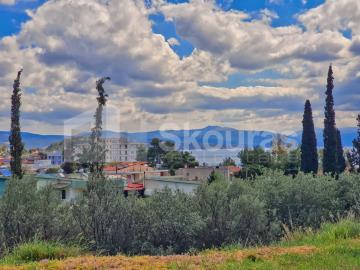 442ad1b94f0e4443942921aea26bcabf