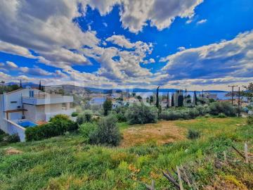 6522f12e30f643cf8258dc6cb44f3658