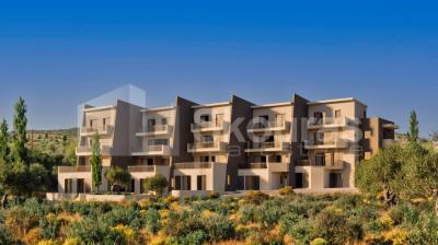 a8dbc025d8934520bcc01fa6f791bbe6