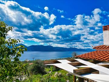 187521a58b464a4da9a9d4f887d10f44-original