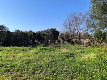 869baf3e-65de-4a2b-8e32-42c81310311a