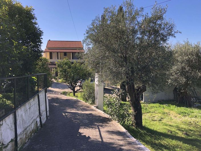 Image No.4-Maison de 3 chambres à vendre à Spartilas