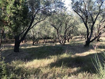 b7250acc-15e3-4fd8-80d0-e36331257c9f