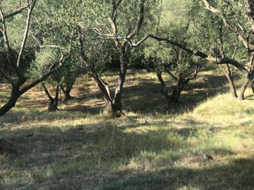 7759b442-21ce-4f0f-bed2-9f0dd630c616