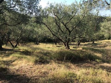 c09edd9d-068c-4cdd-9d80-10a0d173f400