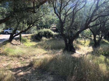 ec14ec2b-8a66-406d-875e-fac31bef8aba