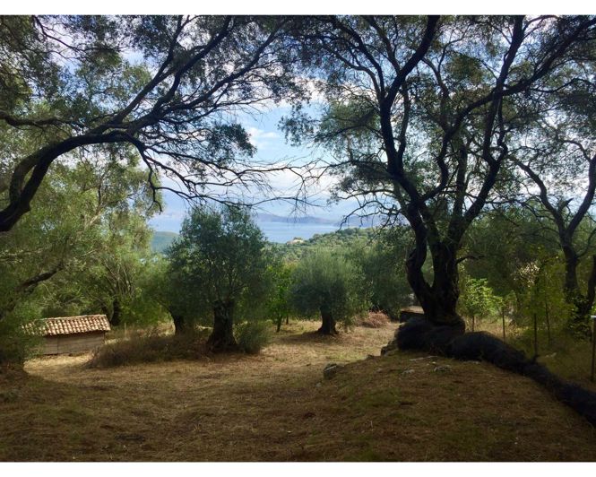 Image No.14-3 Bed House for sale