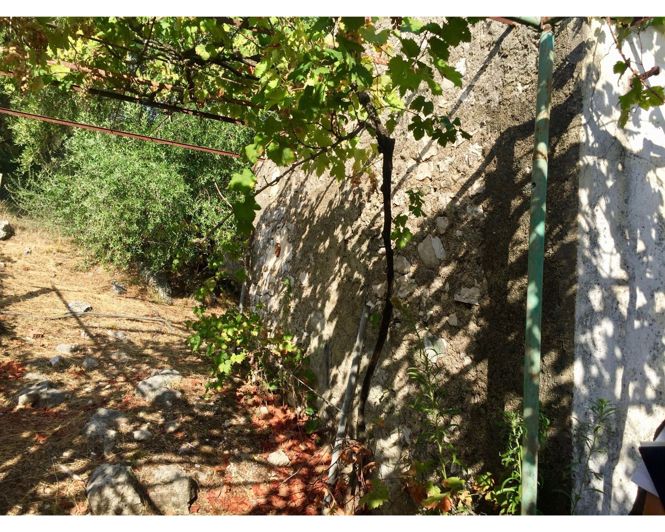 Image No.16-3 Bed House for sale