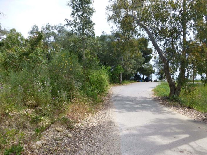 Image No.5-Terre à vendre à Dassia