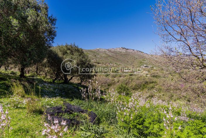 Image No.2-5 Bed Land for sale