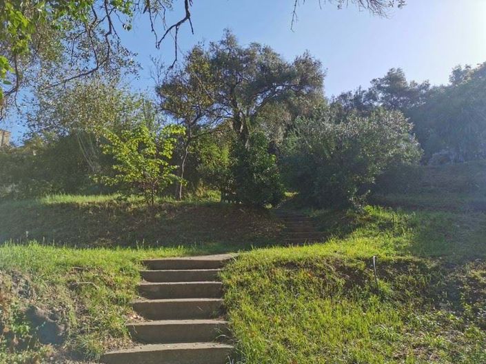 Image No.8-3 Bed Land for sale