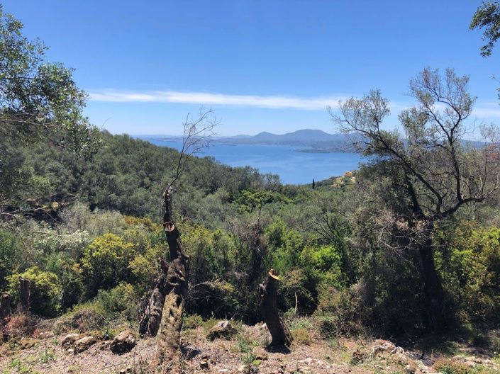 Image No.10-Terre à vendre à Spartilas