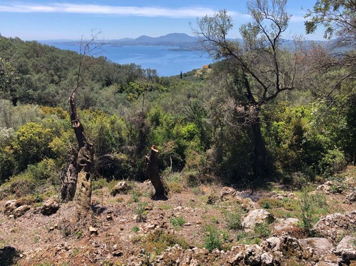 Image No.2-Terre à vendre à Spartilas