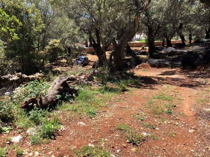 Image No.6-Terre à vendre à Spartilas