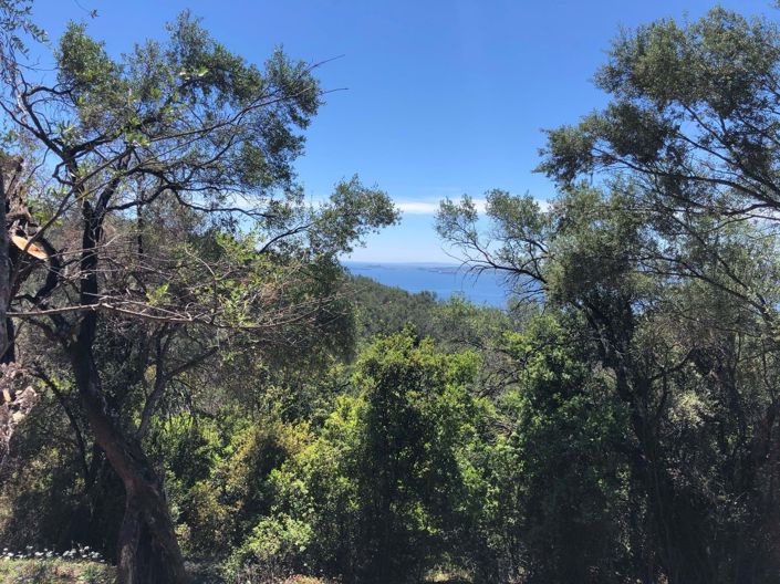 Image No.8-Terre à vendre à Spartilas