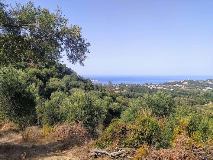 Image No.7-Land for sale