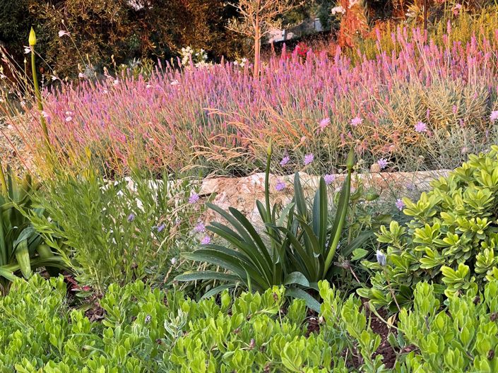 Image No.24-3 Bed House for sale