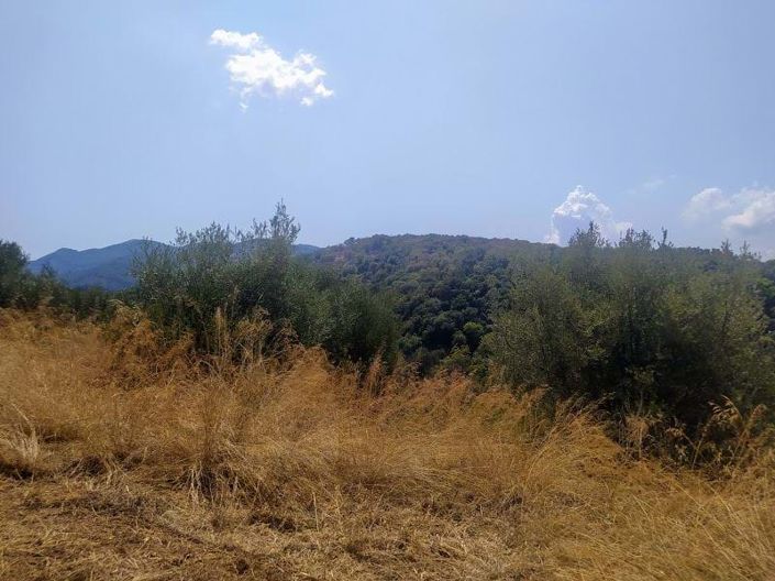 Image No.2-Land for sale