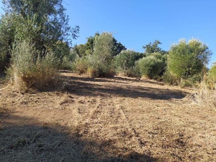 Image No.2-2 Bed Land for sale