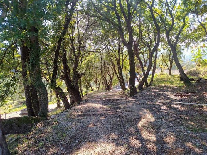 Image No.4-Terre à vendre à Corfou