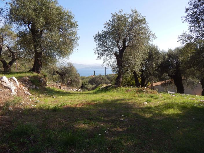 Image No.2-Terre à vendre à Spartilas