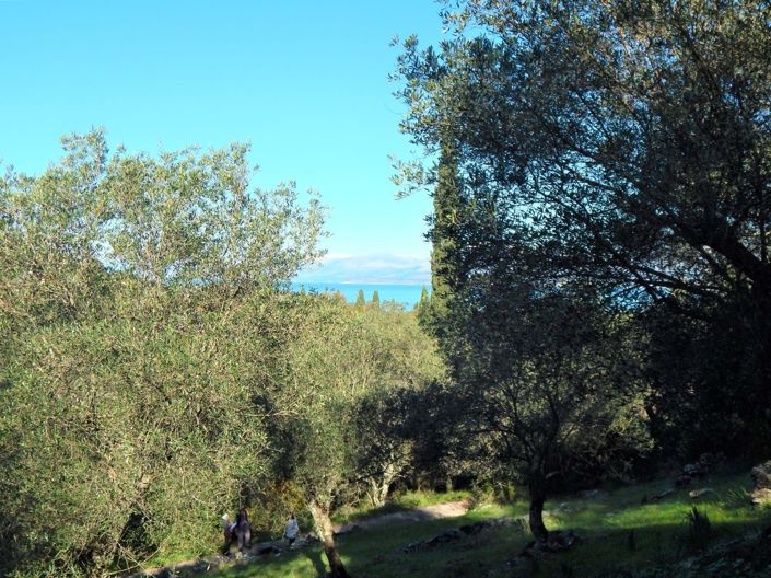 Image No.4-Land for sale