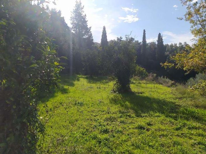 Image No.6-Land for sale