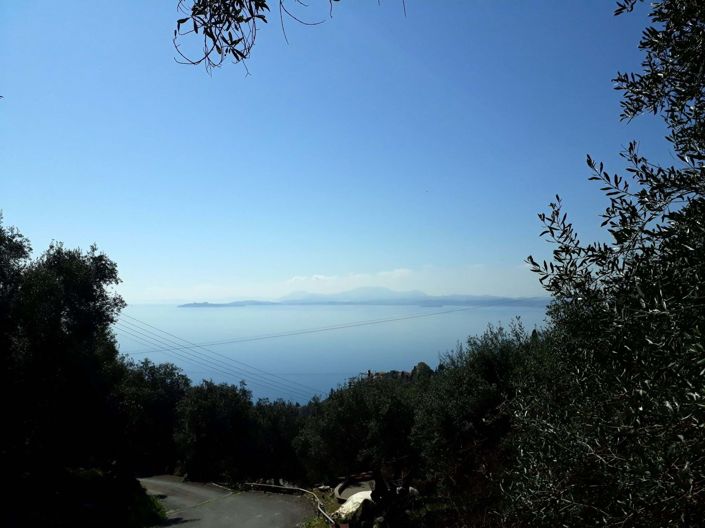 Image No.1-Land for sale