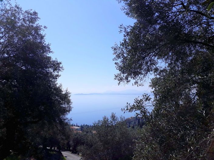 Image No.2-Land for sale