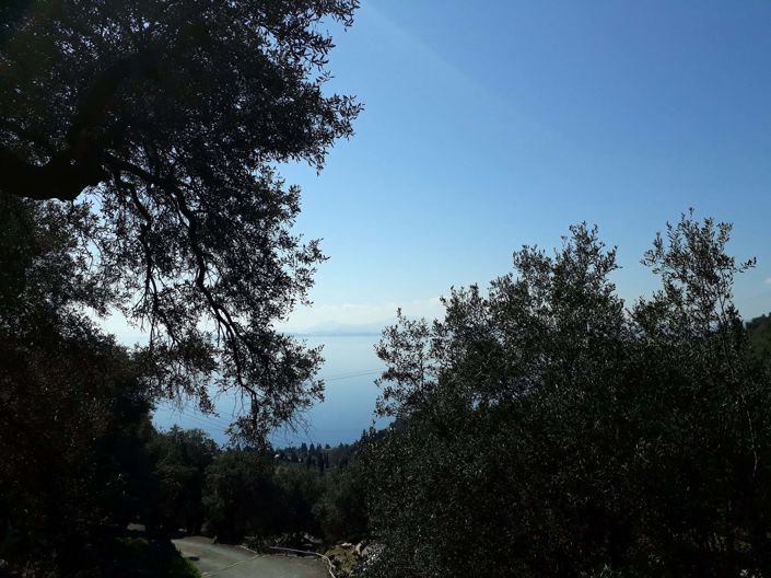 Image No.3-Land for sale