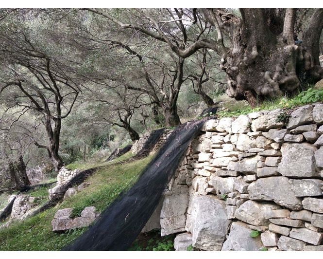 Image No.6-Land for sale