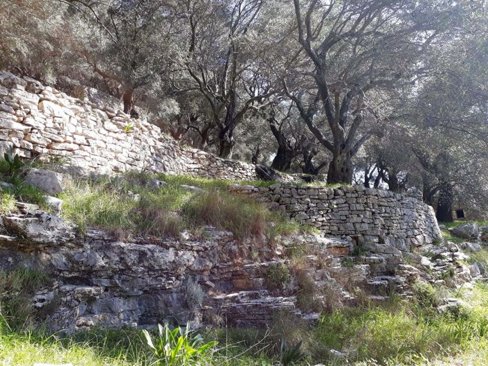 Image No.7-Land for sale