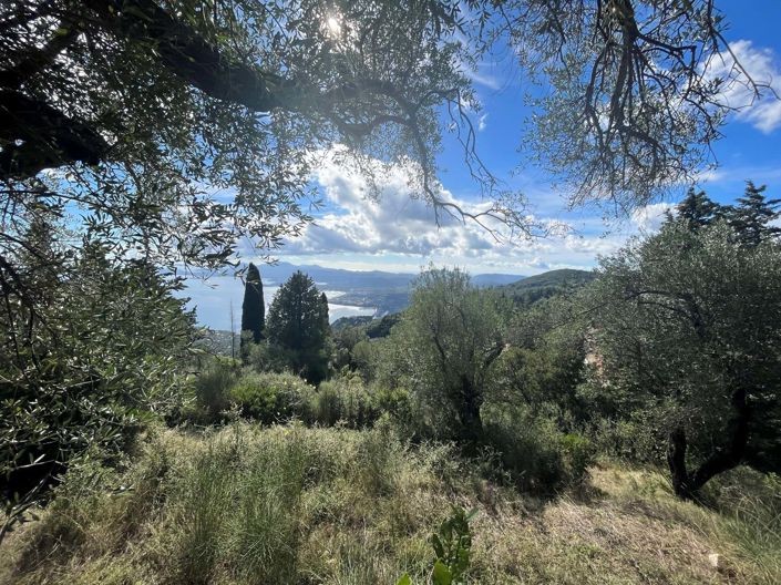 Image No.2-Terre à vendre à Spartilas