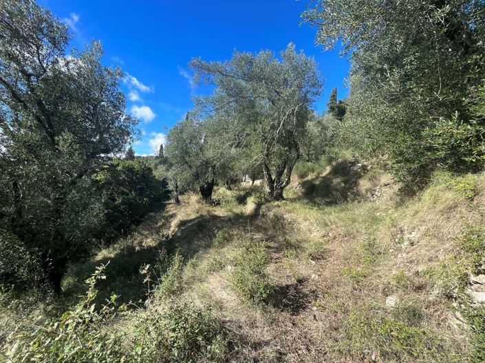 Image No.3-Terre à vendre à Spartilas